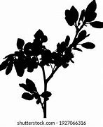 Image result for Flowerng Plum Tree