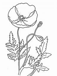 Image result for Poppies Coloring Pages