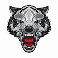 Image result for Angry Wolf Face Vector