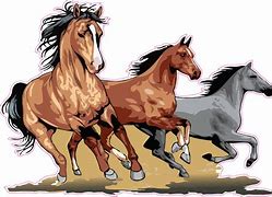 Image result for Horse Wall Decals