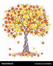 Image result for Maple Tree Vector