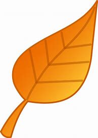 Image result for Flat Tree Silhouette Leaves