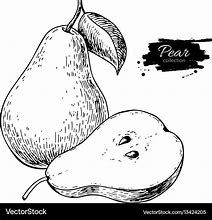 Image result for Pear Shape Sketch