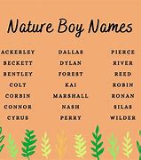 Image result for Transfer of Personal or Place Name Images for Nature of Language