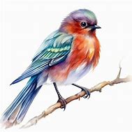 Image result for Drawing of a Bird On a Branch with a Colourful Background