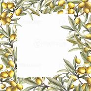 Image result for Olive Tree Branches Symbolism