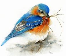 Image result for Watercolor Two Birds Branch Painting