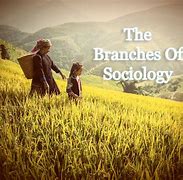 Image result for Branches of Philosophy PPT