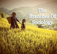 Image result for Philosophy Branches