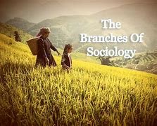 Image result for 7 Branches of Philosophy