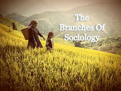 Image result for Example of Branches of Philosophy Scenarios