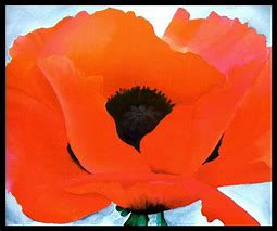 Image result for Georgia O'Keeffe Poppy Print