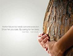 Image result for Tree of Life and Death Inspirational Quotes