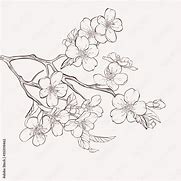 Image result for Tree Branch Line Art