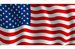 Image result for USA National Flag Icon