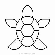 Image result for Baby Sea Turtle Coloring Page