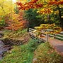 Image result for Free Desktop Wallpaper Fall Tree