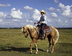 Image result for Dressing Like a Cowboy