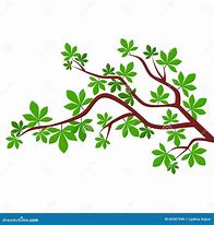 Image result for Branch Illustration