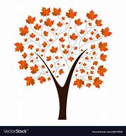 Image result for Maple Tree Vector