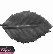 Image result for Preschool Leaf Template