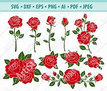 Image result for Red Rose Outline SVG