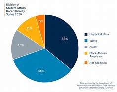 Image result for Demographic Diversity