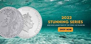 Image result for 1 Oz Silver Coins