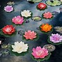 Image result for Lotus or Papyrus in Art