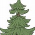 Image result for Evergreen Tree Clip Art