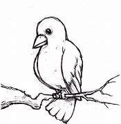 Image result for White Bird Drawing