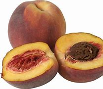 Image result for Flat Peach PNG