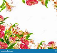 Image result for Bright Colorful Flowers Background