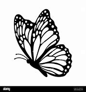 Image result for Butterfly Side Vector Outline