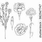 Image result for Carnation Flower Tattoo