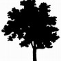 Image result for Apple Tree Silhouette Vector