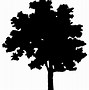 Image result for Pretty Tree Silhouette