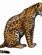 Image result for Jaguar Colour in Clip Art