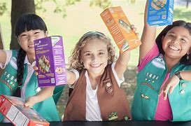 Image result for Girl Scout Cookie Clip Art