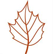 Image result for Ti Leaf Outline PNG