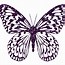 Image result for Butterfly Leaf Icon Logo