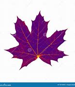 Image result for Autum Leave Images