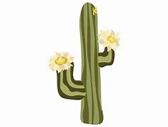 Image result for State Flower Clip Art