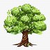 Image result for Shaking Apple Tree Clip Art