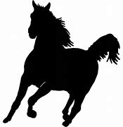 Image result for Vinyl Horse Decals