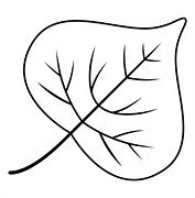 Image result for Line Drawing SVG Leaf