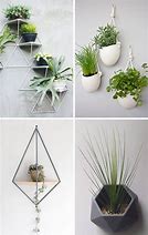 Image result for Green Leaf Wall Plant Holder