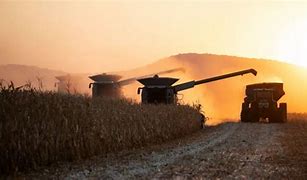 Image result for Corn Harvesting Photography Ideas