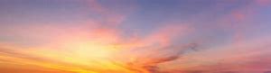 Image result for Pink Yellow and Blue Gradient