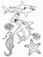 Image result for Free Sea Life Coloring Pages